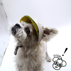ドッグキャップ-ベージュxスイカ（耳出し）犬用帽子 8枚目の画像