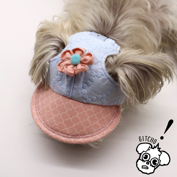 ドッグキャップ-フラワーx水色刺繍（耳出し）犬用帽子 9枚目の画像