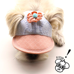 ドッグキャップ-フラワーx水色刺繍（耳出し）犬用帽子 11枚目の画像