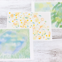 【3枚セット】ポストカード　雨上がりの陽と光　カード　かわいい　キレイ　自然　プレゼント　ギフト　葉　はがき　葉書　 1枚目の画像