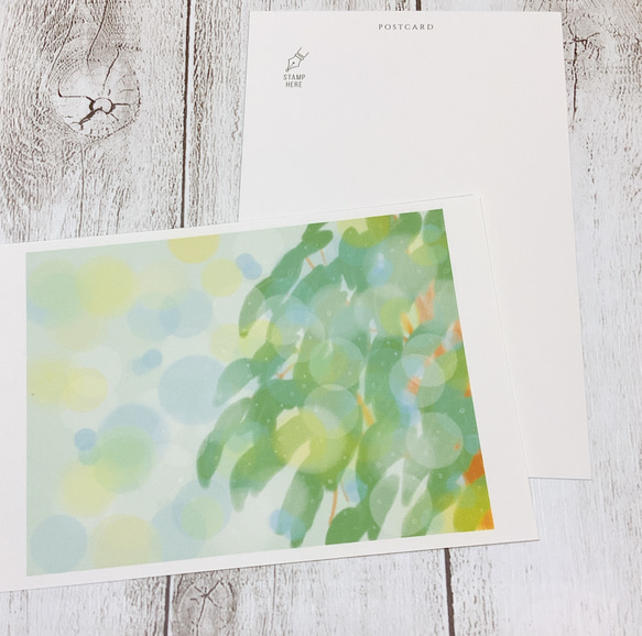【3枚セット】ポストカード　雨上がりの陽と光　カード　かわいい　キレイ　自然　プレゼント　ギフト　葉　はがき　葉書　 2枚目の画像