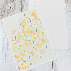 【3枚セット】ポストカード　雨上がりの陽と光　カード　かわいい　キレイ　自然　プレゼント　ギフト　葉　はがき　葉書　 4枚目の画像