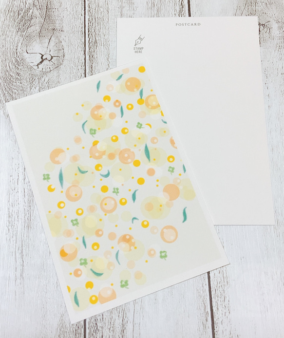 【3枚セット】ポストカード　雨上がりの陽と光　カード　かわいい　キレイ　自然　プレゼント　ギフト　葉　はがき　葉書　 4枚目の画像