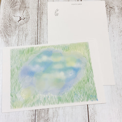 【3枚セット】ポストカード　雨上がりの陽と光　カード　かわいい　キレイ　自然　プレゼント　ギフト　葉　はがき　葉書　 5枚目の画像