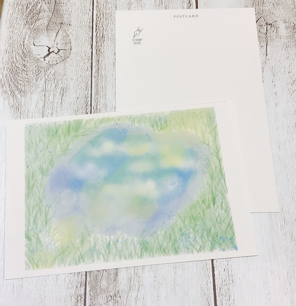 【3枚セット】ポストカード　雨上がりの陽と光　カード　かわいい　キレイ　自然　プレゼント　ギフト　葉　はがき　葉書　 5枚目の画像