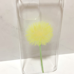 【iPhone・Galaxy・Xperia・AQUOSケース】ハードケース　ソフトケース　かわいい　春　タンポポ　花　　 4枚目の画像