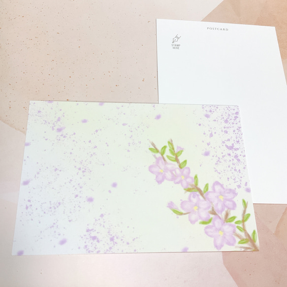 【祝・サクラ】４枚　ポストカード　かわいい　春　イラスト　おすすめ　文房具　雑貨　ペーパー　紙　紙モノ 4枚目の画像