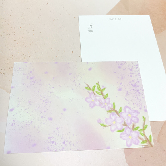 【祝・サクラ】４枚　ポストカード　かわいい　春　イラスト　おすすめ　文房具　雑貨　ペーパー　紙　紙モノ 5枚目の画像