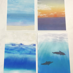 【海の世界4種】ポストカード　はがき　イラスト　デザイン　インテリア　おすすめ　可愛い 7枚目の画像