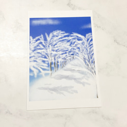 【Winter】5枚セット　ポストカード　景色　自然　雪　冬　季節　絵はがき　イラスト　ハガキ　キレイ　森　山　空　 2枚目の画像
