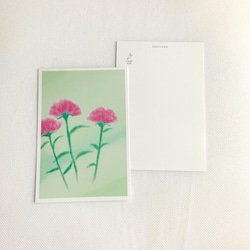 【カーネーション】4枚　ポストカード　はがき　紙ものペーパー　お花　デザイン　感謝　赤　ピンク　自然　アート　イラスト 3枚目の画像