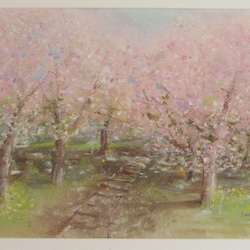 (soldout)  桜トンネル(パステル画　原画 ) 2枚目の画像