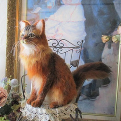 羊毛フェルト メインクーンクラシックタビー 猫 ネコ