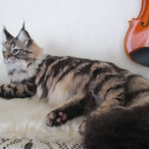 ハンドメイド　羊毛フェルト　メイクーン　ブラウンタビー 羊毛フェルト メインクーンクラシックタビー 猫 ネコ