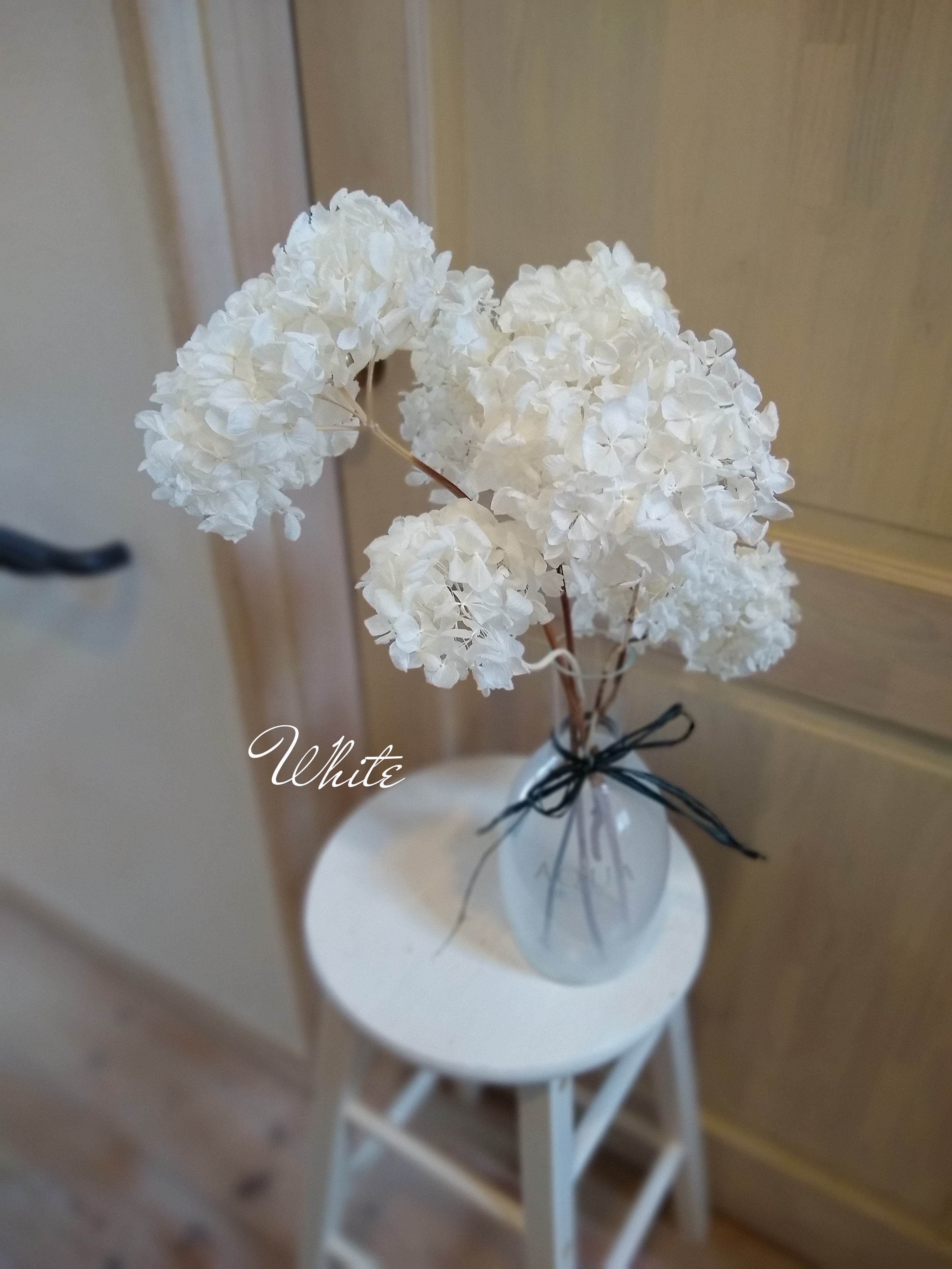 2020 紫陽花 ドライフラワー