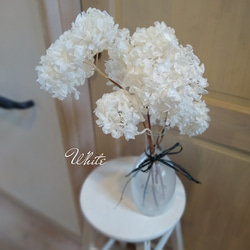 紫陽花　ドライフラワー　専用 0592_2.jpg