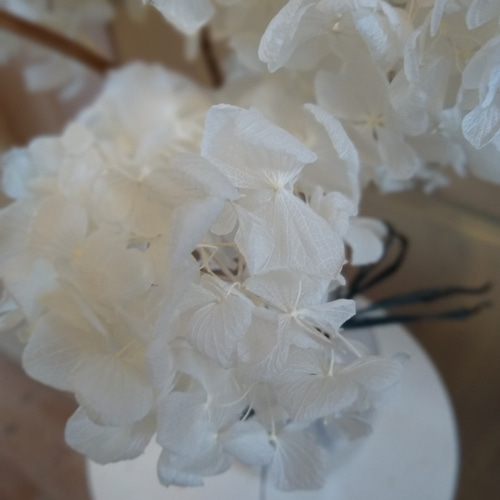 紫陽花　ドライフラワー　専用 秋色紫陽花のドライフラワー販売中｜racsshandmade | racssblog