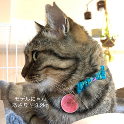 ❁猫用首輪❁大きなリボン／小さなリボン～BLOOM～〈イエロー×オレンジ〉 7枚目の画像