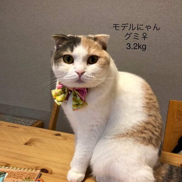 ❁猫用首輪❁大きなリボン／小さなリボン～BLOOM～〈ピンク×イエロー〉 6枚目の画像
