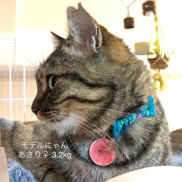❁猫用首輪❁大きなリボン／小さなリボン～BLOOM～〈ピンク×イエロー〉 7枚目の画像