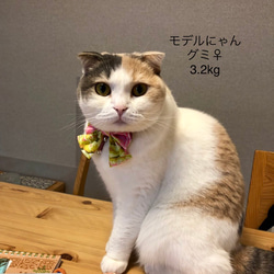 ❁猫用首輪❁《お正月のおめかしリボン》上が桃系 5枚目の画像