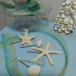 送込 ②天然のスターフィッシュシェル&スターフィッシュのヘアピン5本セット✨貝殻 4枚目の画像