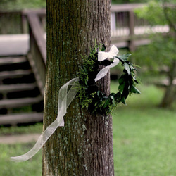 (再×8) グリーンアイビーの花かんむり 3枚目の画像