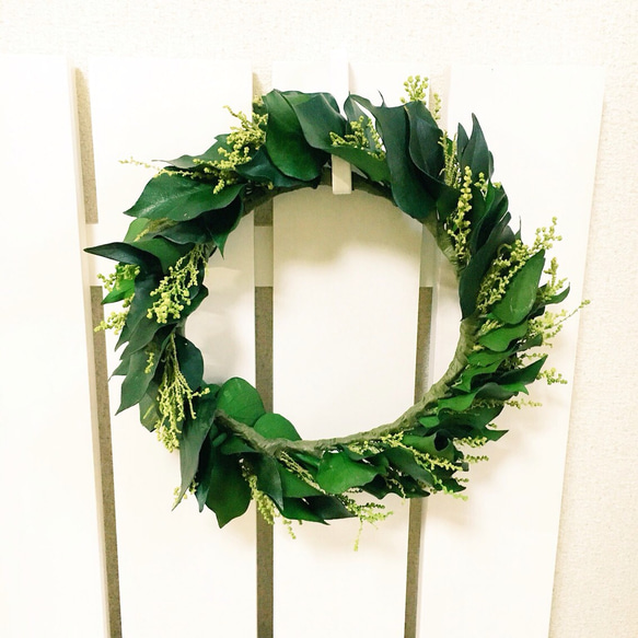 (再×8) グリーンアイビーの花かんむり 4枚目の画像