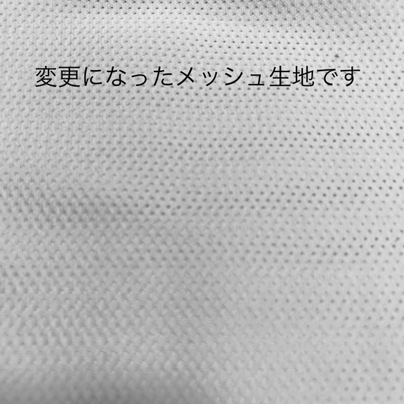 値下げ！　夏用マスク　舟形マスク　白　大人用・レディース　ノーズワイヤー入り　フィルターポケット付き　西村大臣風マスク 5枚目の画像