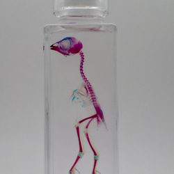 0_db8ce3b1c4c87757ced10737129d