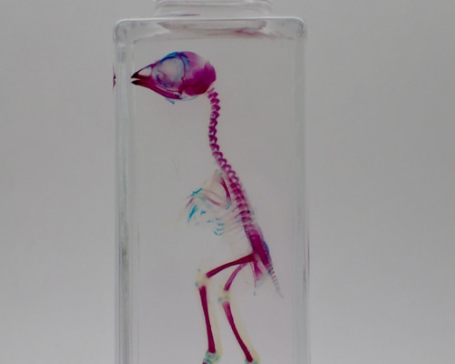 0_db8ce3b1c4c87757ced10737129d