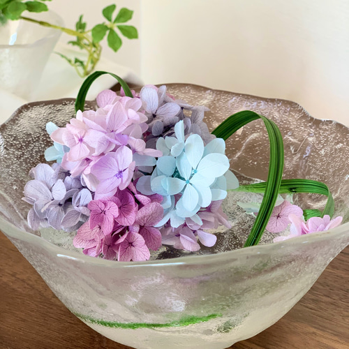 紫陽花 梅雨を楽しむ涼しいアレンジ お手入れ要らず あじさい