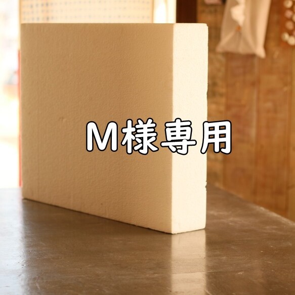 【M様専用】発泡スチロールセット 1枚目の画像