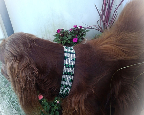 バロン 大型犬 ビーズ ハーフチョーク 0_ed2e7d3acb33c61a860dfaaf03bb