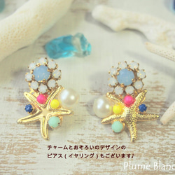 Jewelry case☆Starfish＊ジュエリーケース☆スターフィッシュ 3枚目の画像