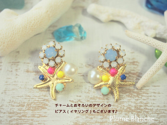 Jewelry case☆Starfish＊ジュエリーケース☆スターフィッシュ 3枚目の画像