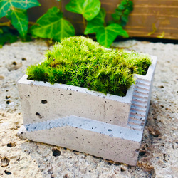 ヴィンテージ　螺旋階段　＋植木鉢20個　コーマ出品になります！ 階段のある植木鉢 その他インテリア雑貨 log 通販 7939248｜Creema