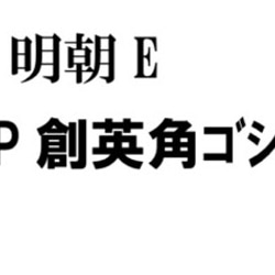 にゃごちゃん様 専用ページ 3枚目の画像