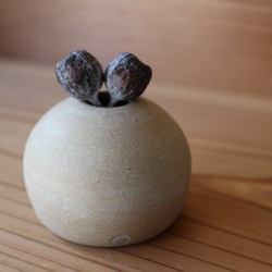 成長的Utsuwa植物是令人興奮的Vaseyard圓頂形狀（chiki chiki）茶陶器 第2張的照片