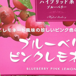 ピンク色の実がつくハイブリッドブルーベリー人気の『ピンクレモネード』大苗 オシャレなテラコッタ風の鉢 7枚目の画像