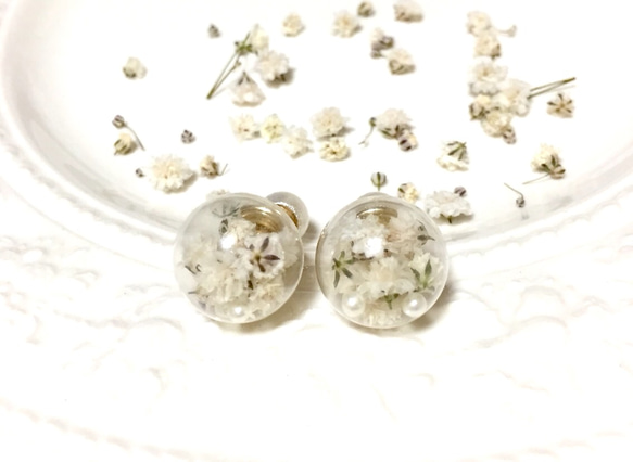 《再販》3weyホワイトかすみ草とパールのガラスドームピアス 2枚目の画像