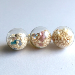再販《選べる》 シェル&スター ガラスドームの小さな海 3枚目の画像
