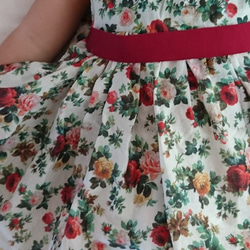 燦爛的玫瑰連衣裙[寶貝] 第1張的照片