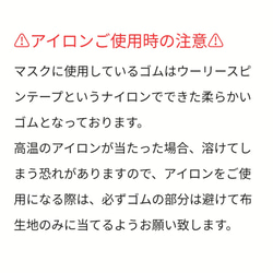 リバティリネン ナノミックスⓇ使用 マスク2021 6枚目の画像