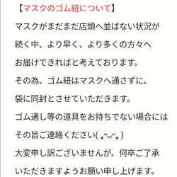 【当日出荷可能】リバティマスク☆抗菌防臭ガーゼビルデオandフランダースリネン 3枚目の画像