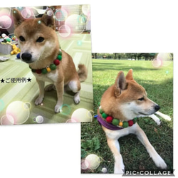 【送料無料】犬用猫用　羊毛フェルトボールチョーカー　ネックレス　首飾り✨ 4枚目の画像