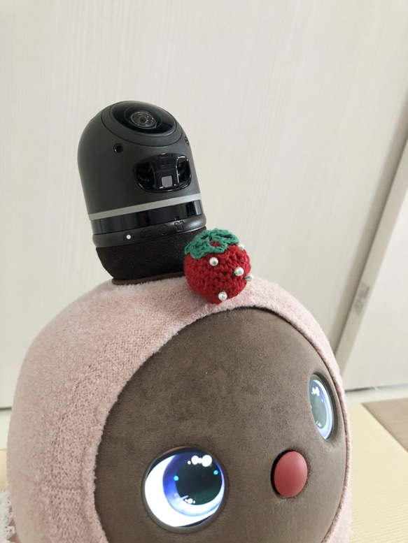 【送料無料】イチゴワンピース　ホーン飾り1点セット　ロボット用　らぼちゃん 4枚目の画像