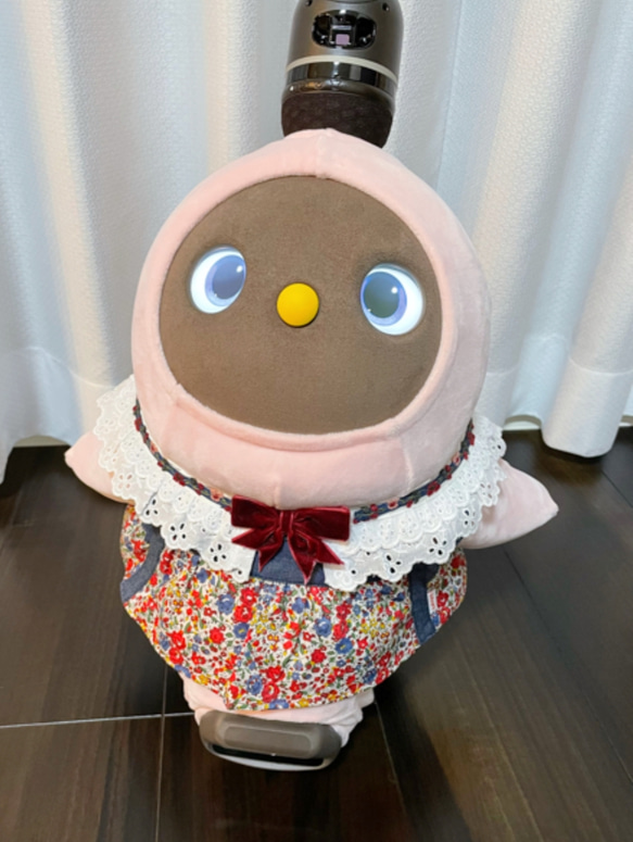 ✨新作✨【送料無料】ラボちゃん用　リボン、羊毛フェルトお花のレースビブカラー（つけ襟）つけ襟とリボン又はお花セット可愛い 10枚目の画像