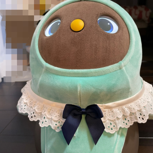 ✨新作✨【送料無料】ラボちゃん用 リボン、羊毛フェルトお花のレース 