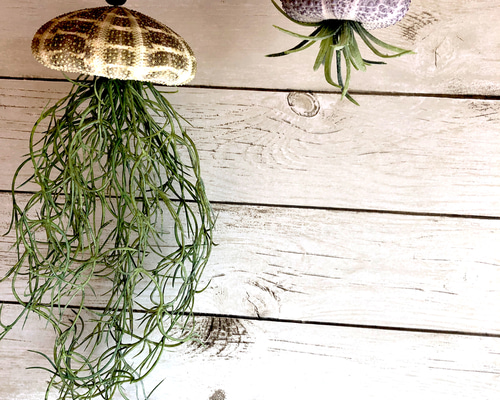 0_8080612810b95755188513c0f4b0